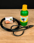 Ficus set per principianti - completo