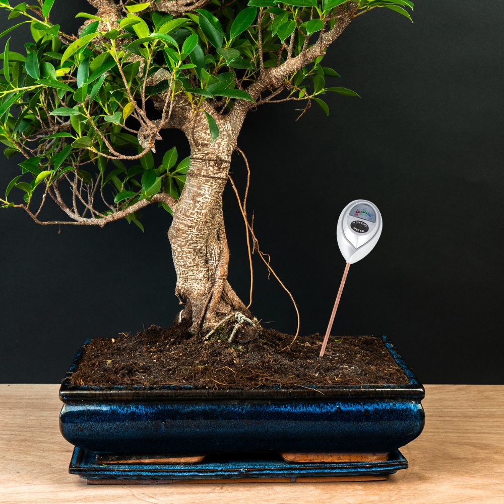 Misuratore di umidità del terreno