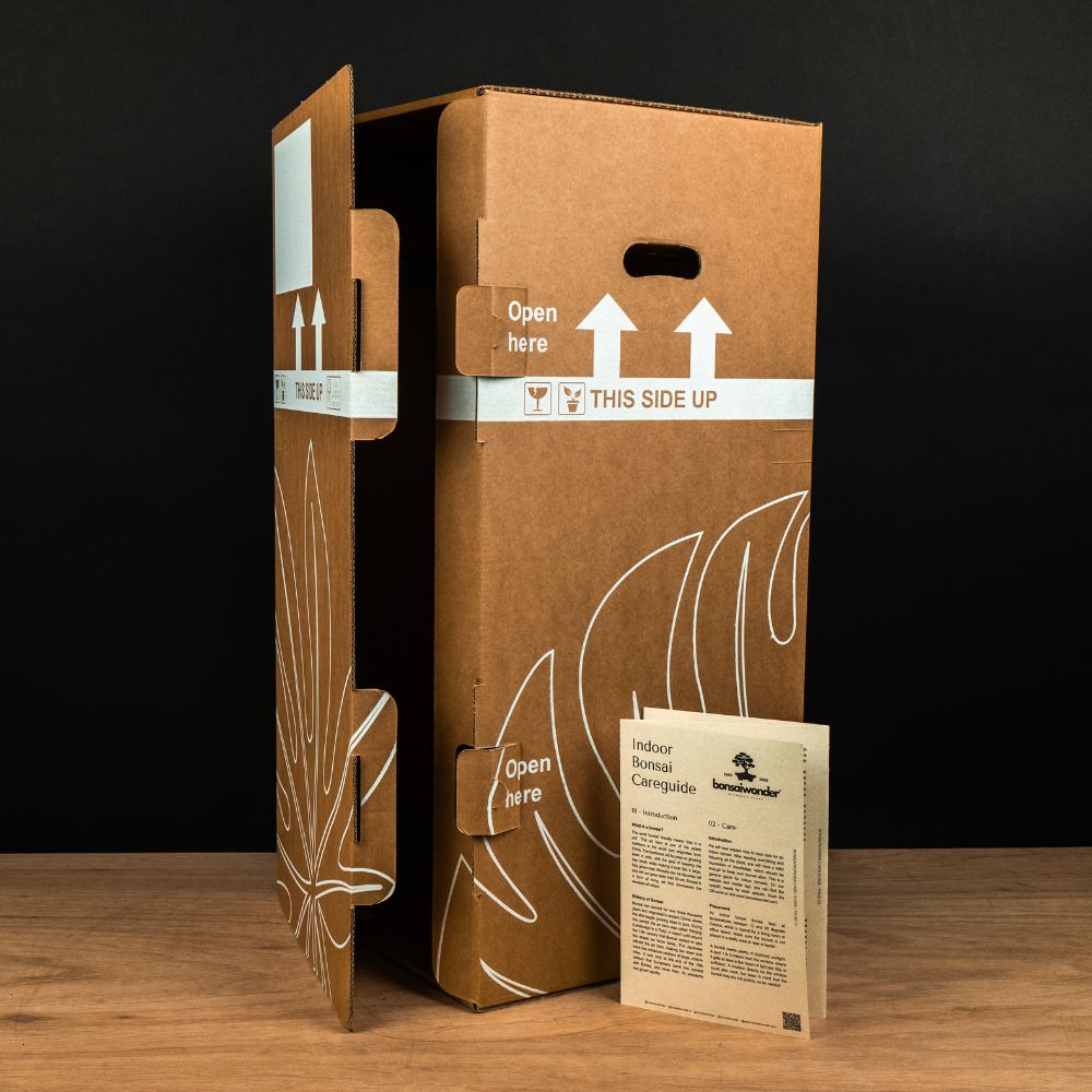 Bonsaiwonder doos met handleiding