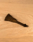 Ficus set per principianti - completo