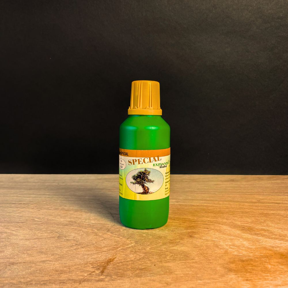 Ficus Starter Set - essential